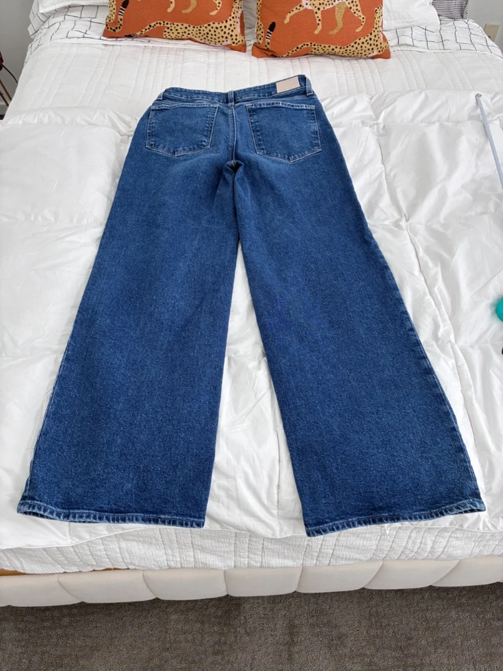 PAIGE Sasha jeans in the Modernism wash Wide Leg sz 29